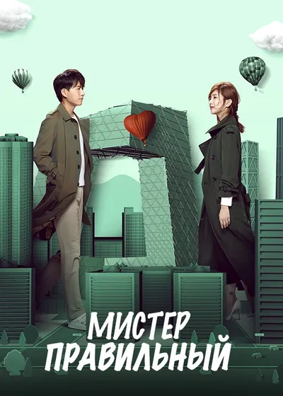 Мистер Правильный (2018)