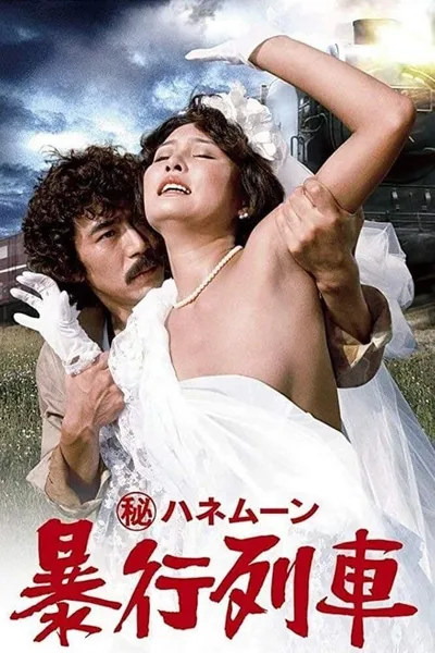 Тайный медовый месяц: Поезд изнасилований (1977)
