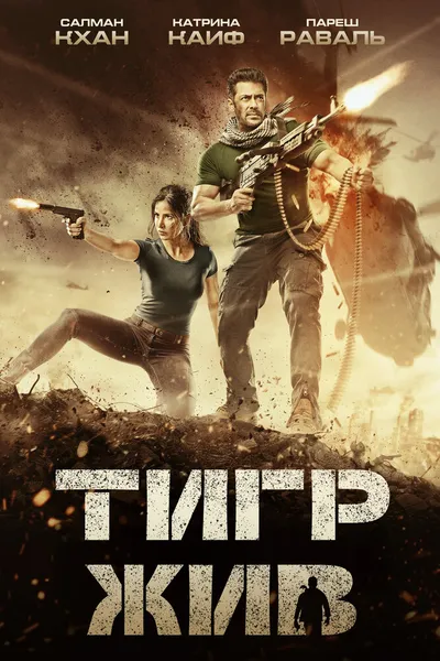 Тигр жив (2017)